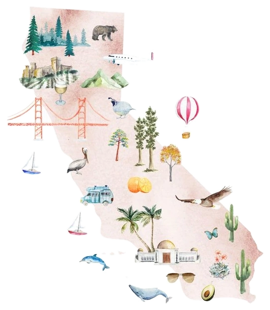 Soft editorial collage illustration of California